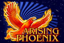 Arising Phoenix